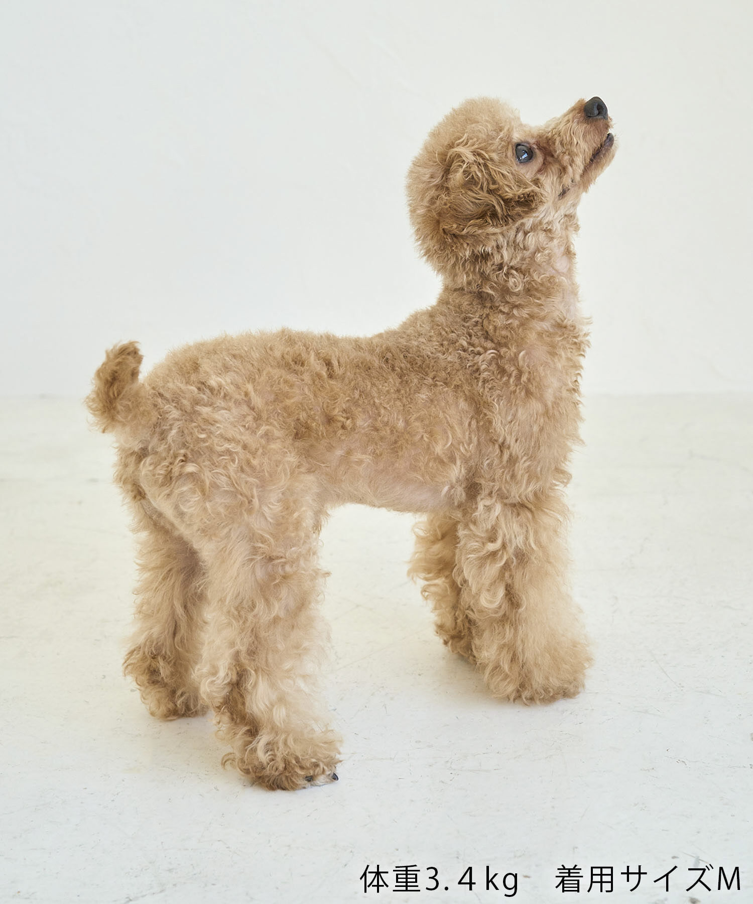 ROPE PICNIC PASSAGE「【DOG】ロップイヤーうさみみパーカー」|その他|