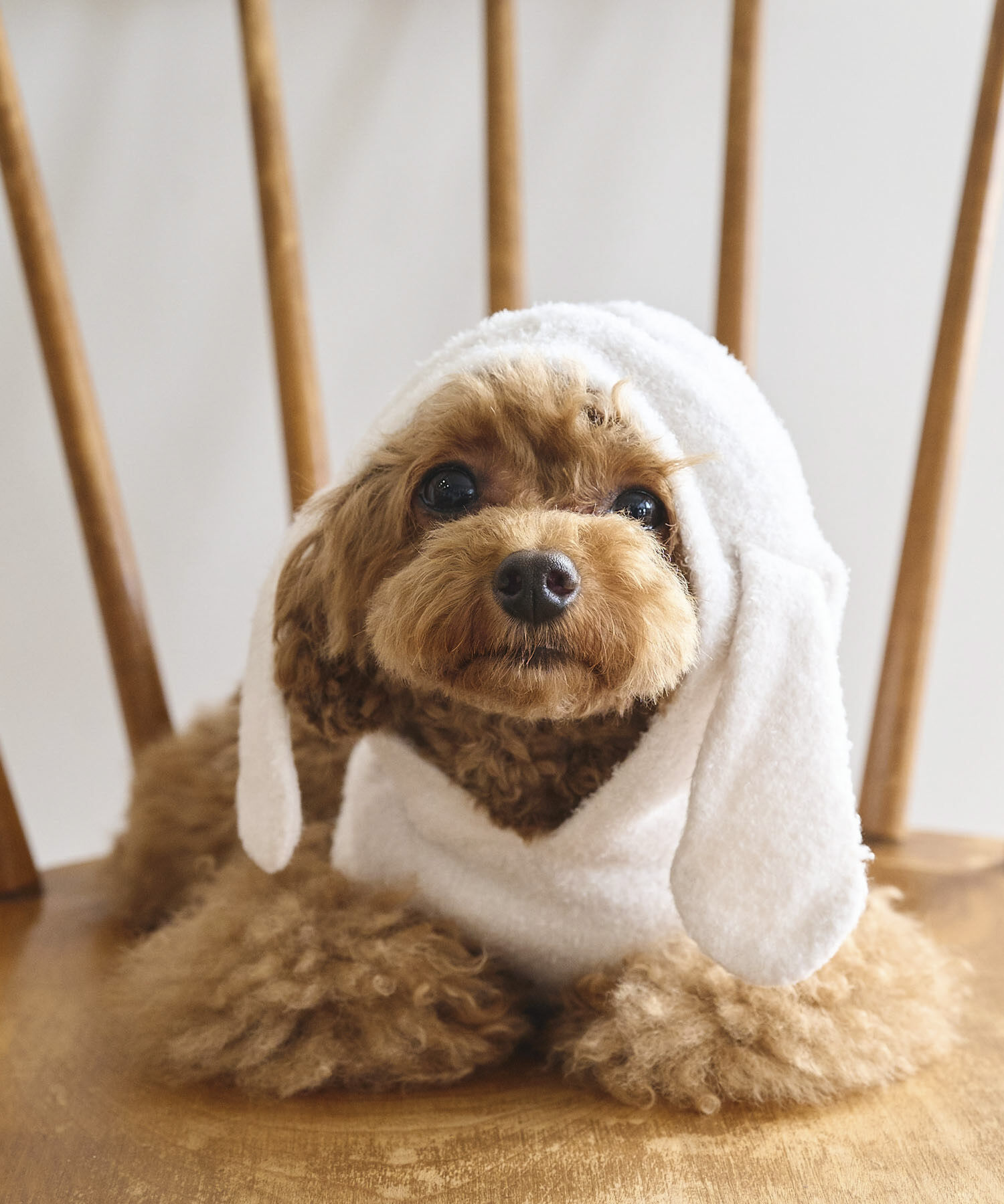 ROPE PICNIC PASSAGE「【DOG】ロップイヤーうさみみパーカー」|その他|