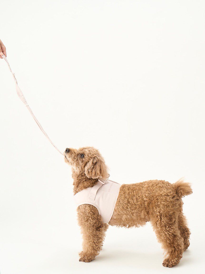 GELATO PIQUE CAT&DOG「【CAT&DOG】【販路限定商品】ハーネス」|その他|