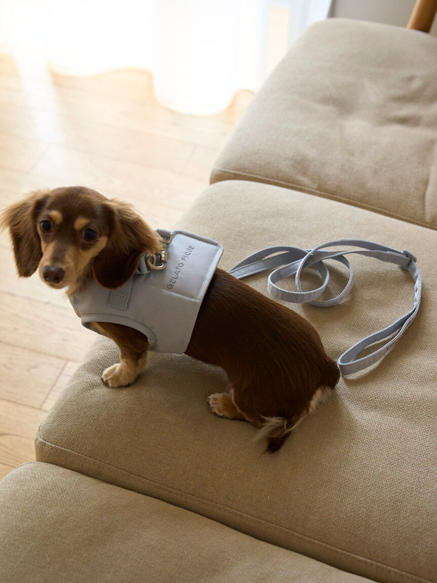  GELATO PIQUE CAT&DOG「【CAT&DOG】【販路限定商品】ハーネス」|その他|