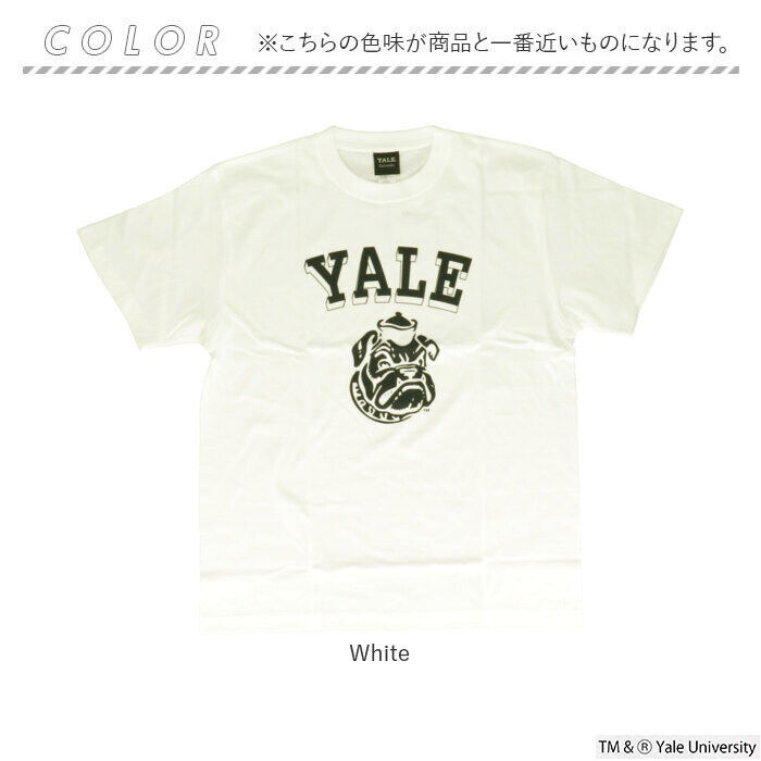 BACKYARD FAMILY「Tシャツ シャツ 半袖 YALE 通販 カットソー tシャツ 半袖Tシャツ 半袖tシャツ」|Tシャツ・カットソー|