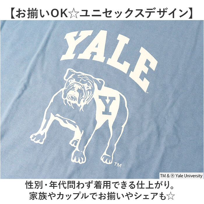 BACKYARD FAMILY「Tシャツ シャツ 半袖 YALE 通販 カットソー tシャツ 半袖Tシャツ 半袖tシャツ」|Tシャツ・カットソー|