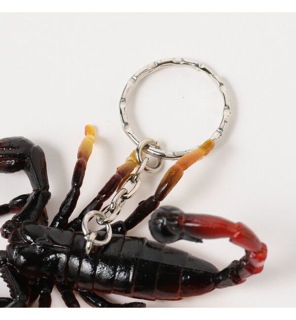 BEAMS「Science and Nature / Animal Keyring」|キーケース|