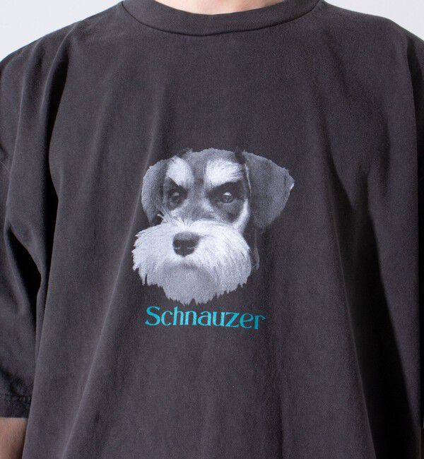 GLOSTER「【新柄追加】【GLOSTER/グロスター】DOG&CAT 犬猫プリント ピグメント プリントTシャツ」|Tシャツ・カットソー|