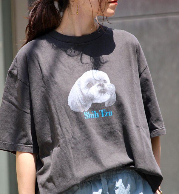 GLOSTER「【新柄追加】【GLOSTER/グロスター】DOG&CAT 犬猫プリント ピグメント プリントTシャツ」|Tシャツ・カットソー|ブラック系その他3