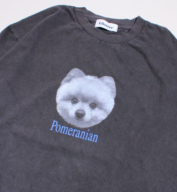 GLOSTER「【新柄追加】【GLOSTER/グロスター】DOG&CAT 犬猫プリント ピグメント プリントTシャツ」|Tシャツ・カットソー|