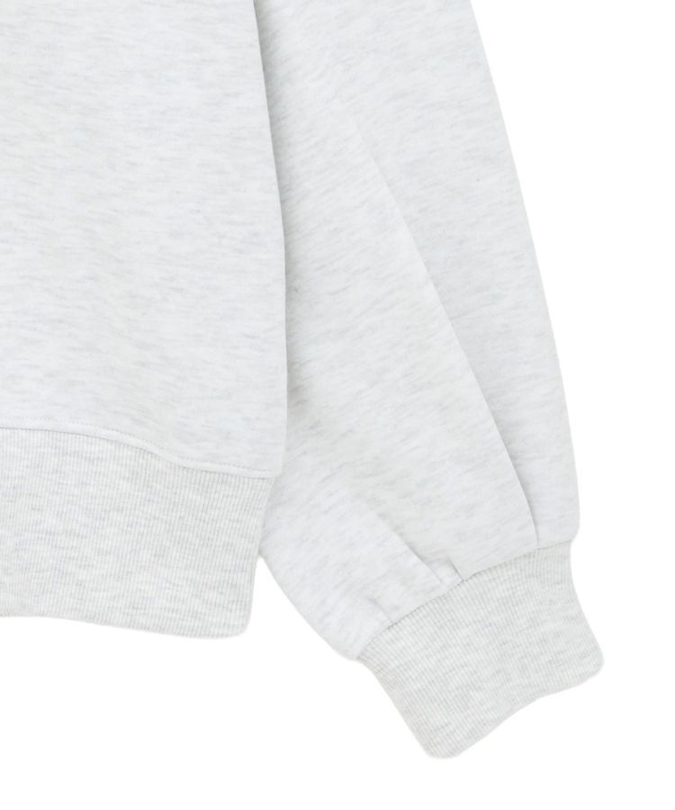 AMERICAN HOLIC「カレッジロゴ裏起毛プルオーバー」|スウェット・ジャージ|