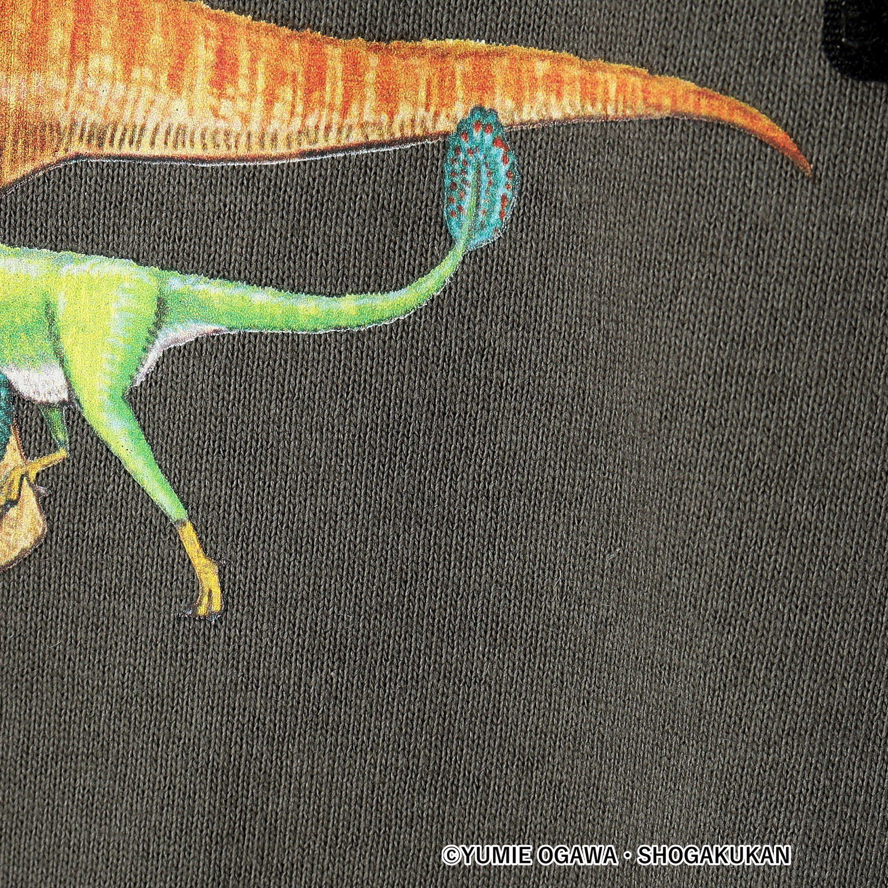 Dessin「【小学館の図鑑NEO　コラボ】恐竜Tシャツ」|Tシャツ・カットソー|