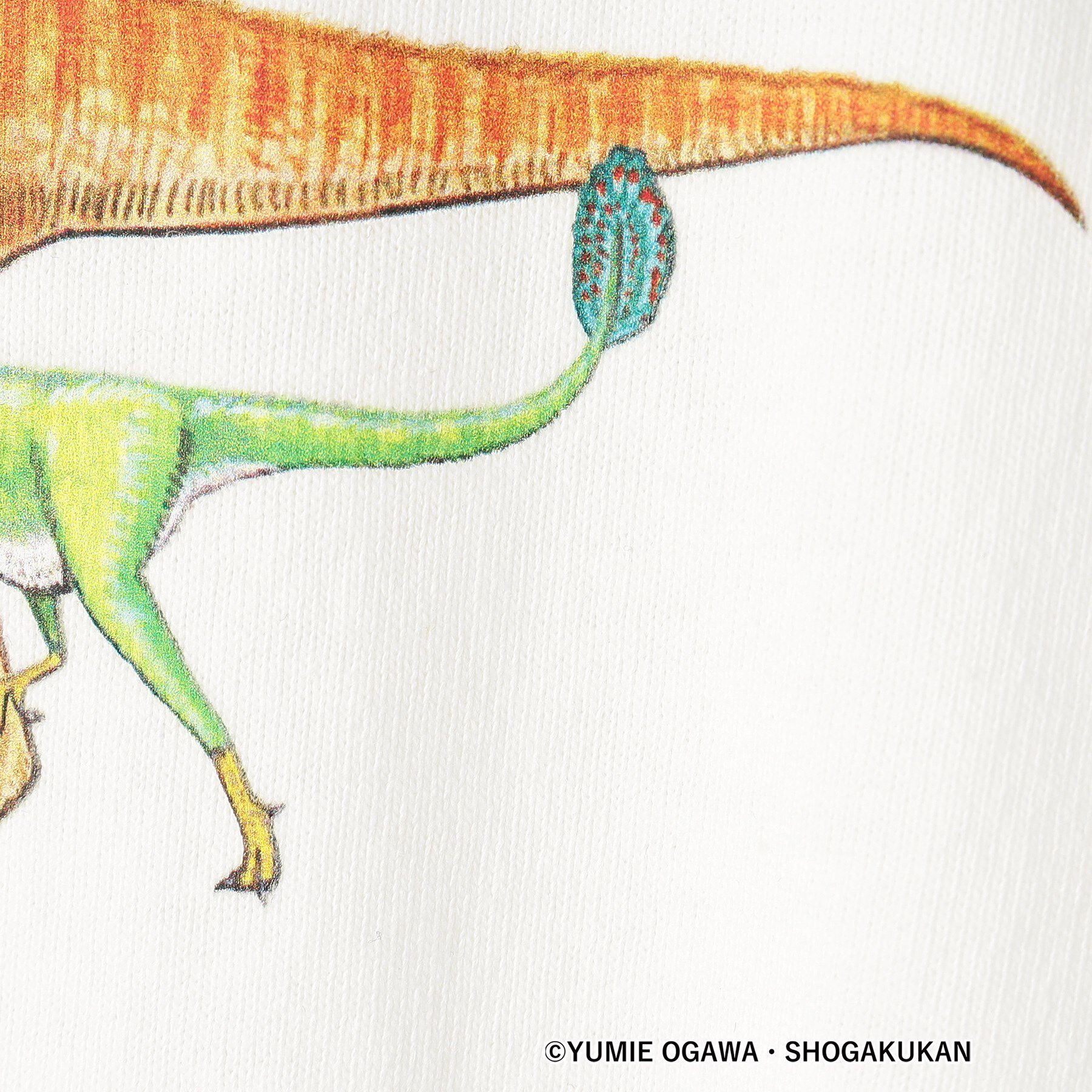 Dessin「【小学館の図鑑NEO　コラボ】恐竜Tシャツ」|Tシャツ・カットソー|