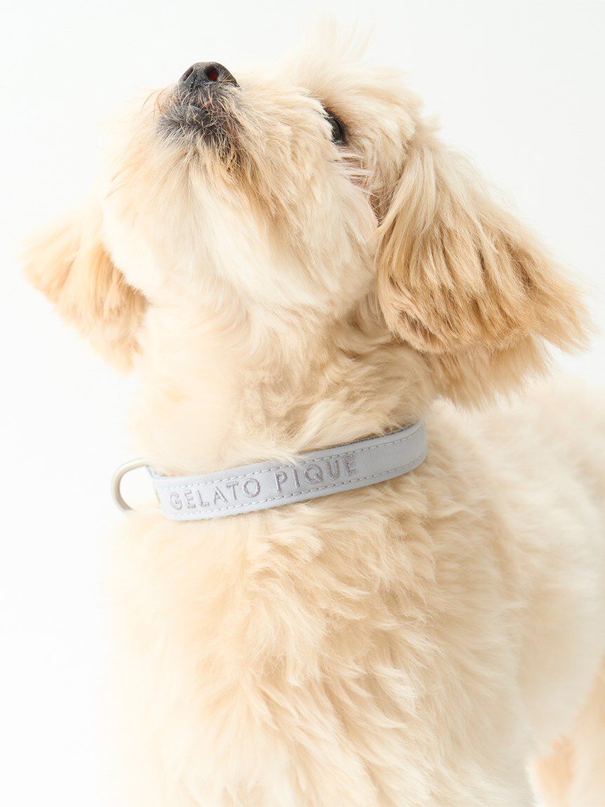  GELATO PIQUE CAT&DOG「【CAT&DOG】【販路限定商品】首輪」|その他|
