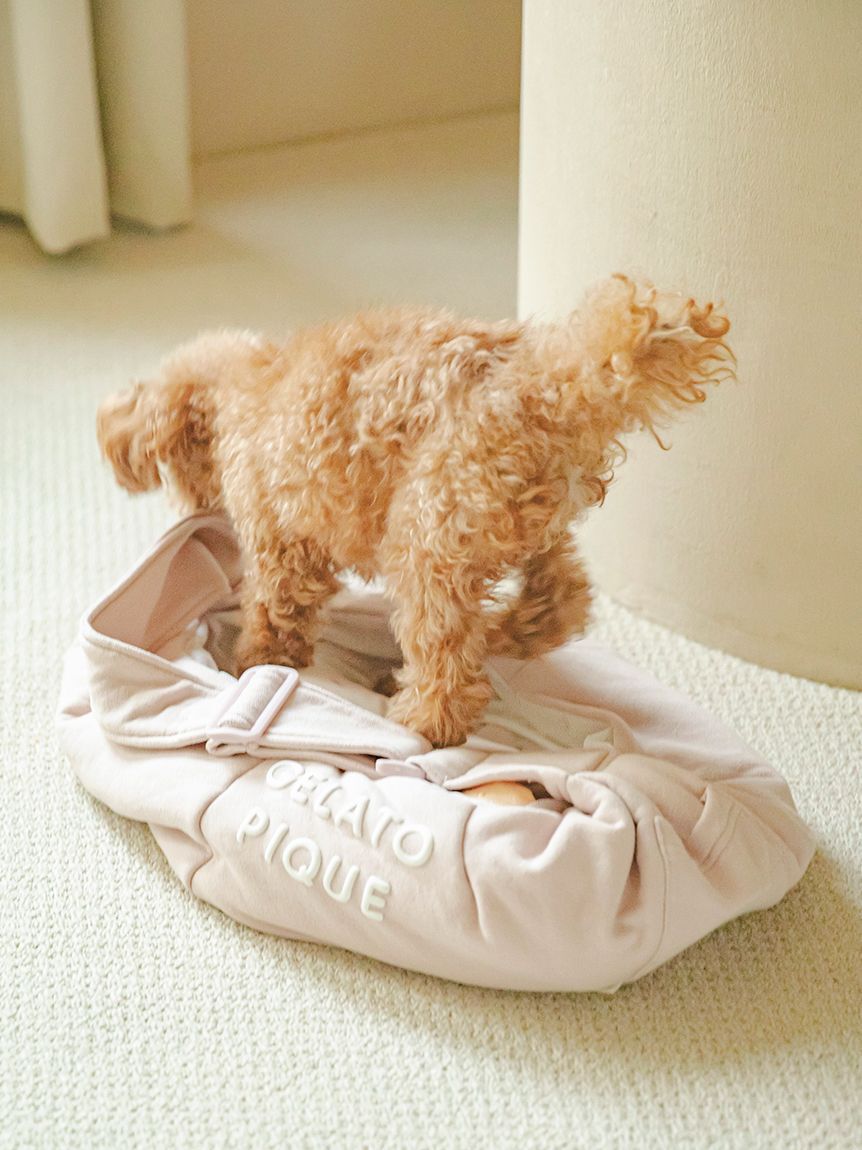  GELATO PIQUE CAT&DOG「【CAT&DOG】裏毛スリング」|その他|