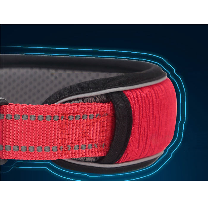 BACKYARD FAMILY「犬 首輪 おしゃれ 通販 くびわ カラー いぬ 痛くない メッシュ 軽い 軽量 ソフトパッド 反射」|その他|