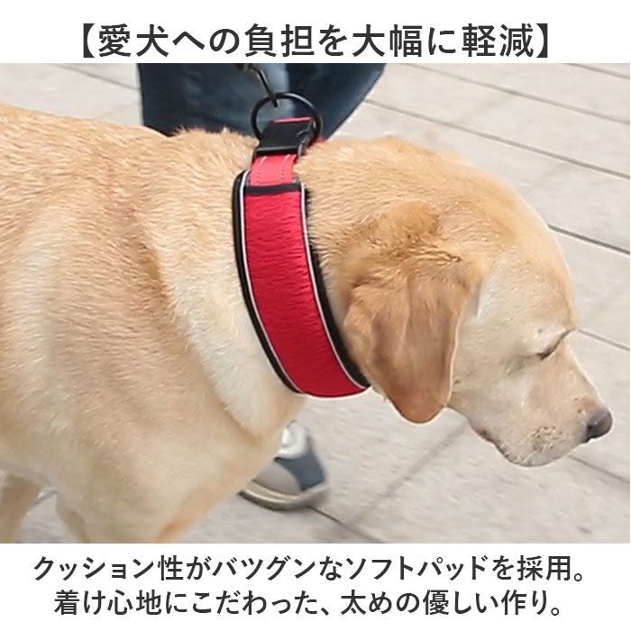 BACKYARD FAMILY「犬 首輪 おしゃれ 通販 くびわ カラー いぬ 痛くない メッシュ 軽い 軽量 ソフトパッド 反射」|その他|