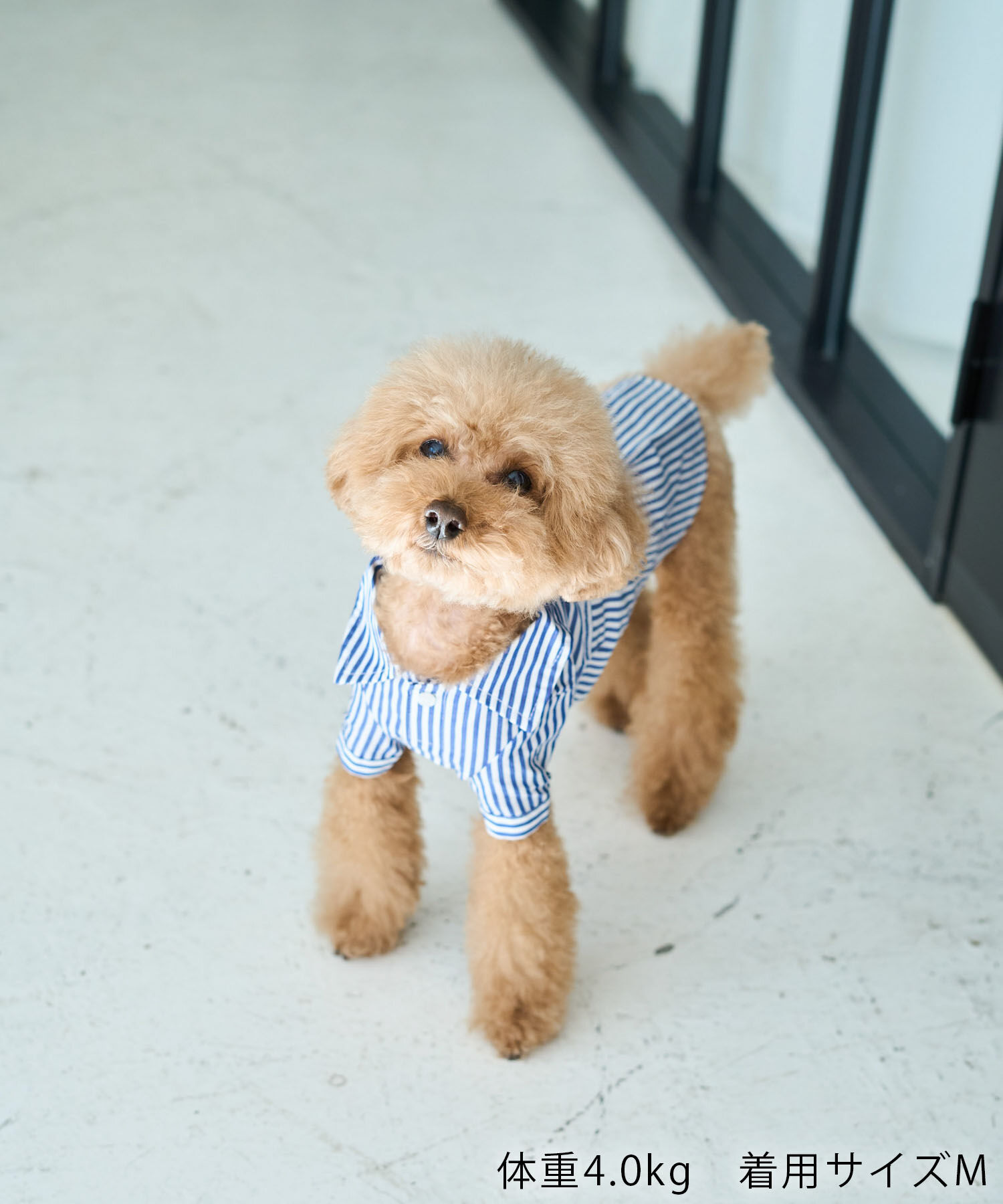 ROPE PICNIC PASSAGE「【DOG】刺繍ロゴ入りストライプシャツ」|その他|