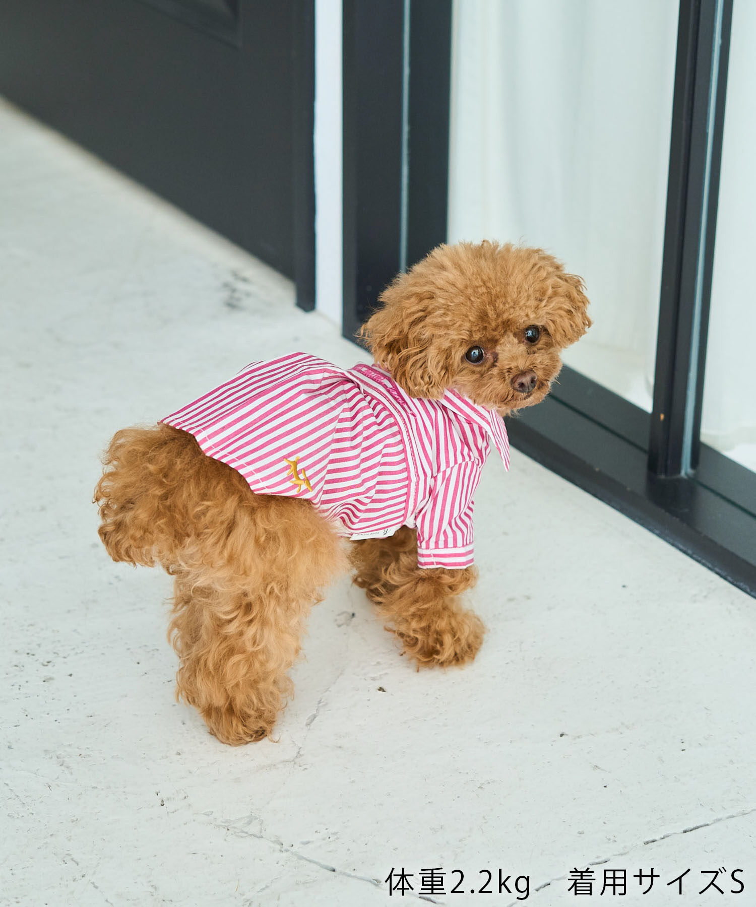 ROPE PICNIC PASSAGE「【DOG】刺繍ロゴ入りストライプシャツ」|その他|