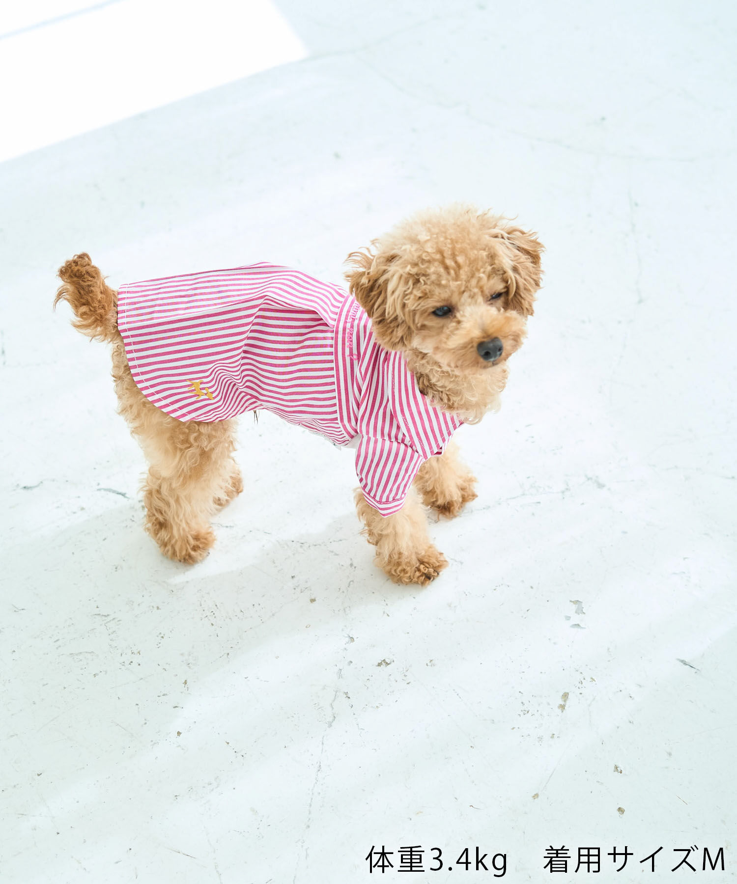 ROPE PICNIC PASSAGE「【DOG】刺繍ロゴ入りストライプシャツ」|その他|