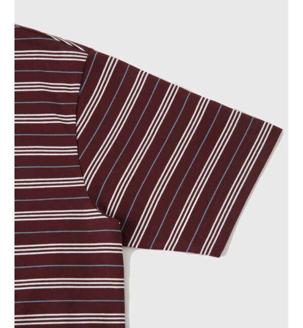 ADAM ET ROPE'「【LACOSTE for ADAM ET ROPE'】別注 MULTI BORDER TEE」|Tシャツ・カットソー|