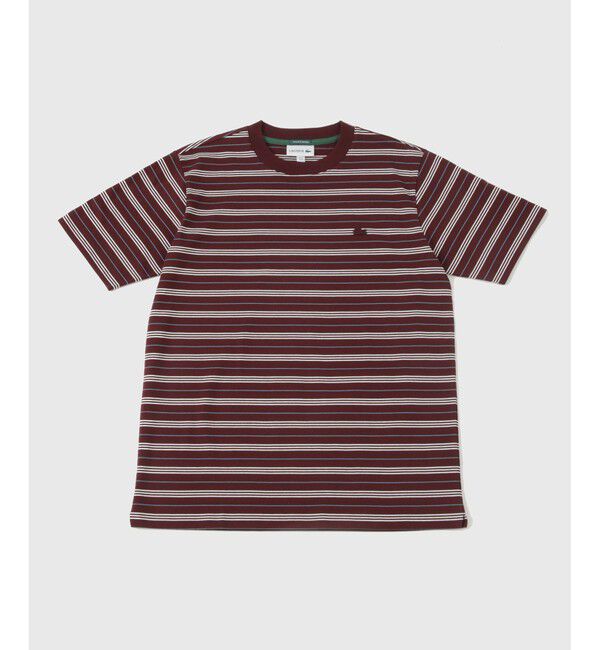 ADAM ET ROPE'「【LACOSTE for ADAM ET ROPE'】別注 MULTI BORDER TEE」|Tシャツ・カットソー|