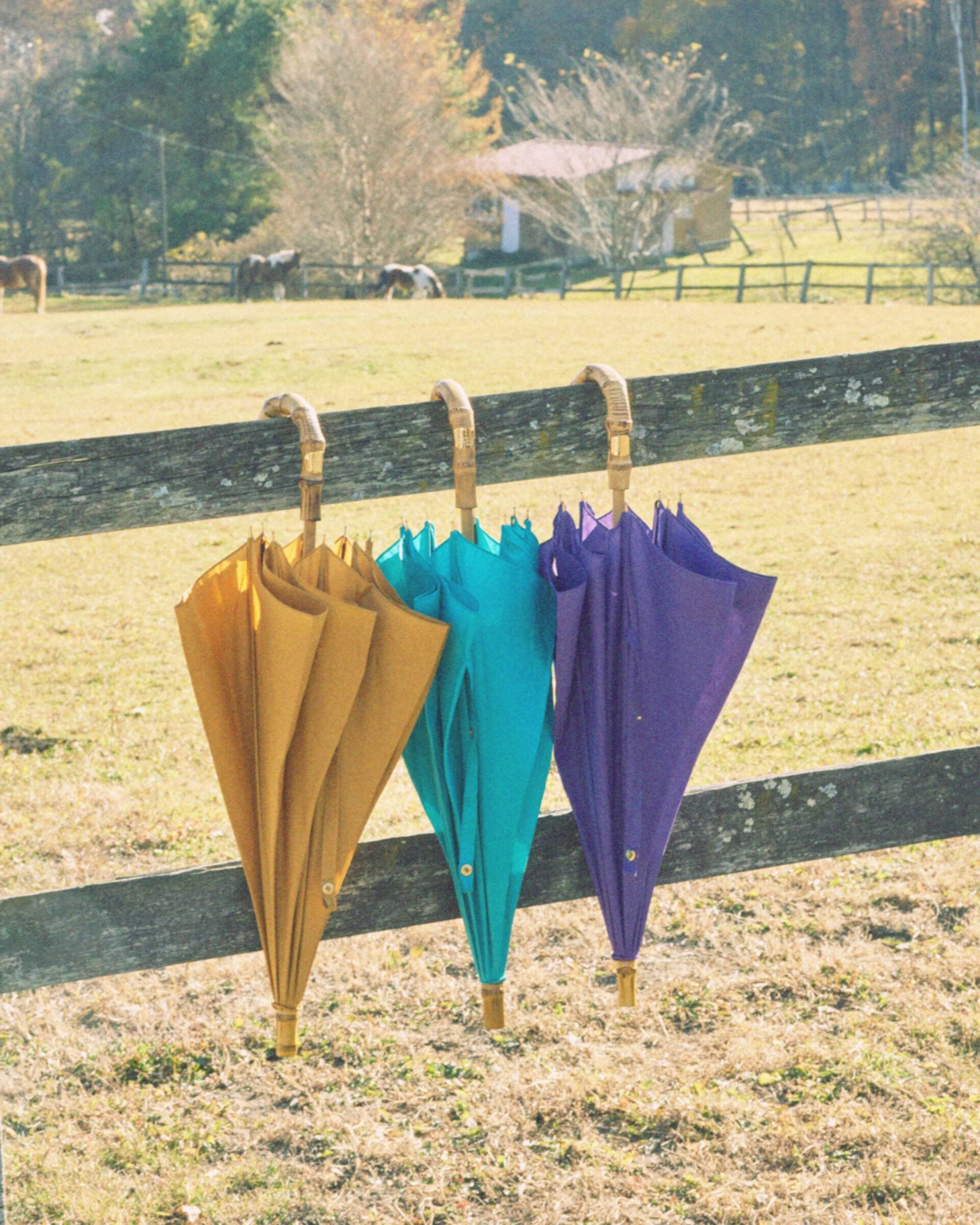 Traditional Weatherwear「UMBRELLA BAMBOO」|傘|