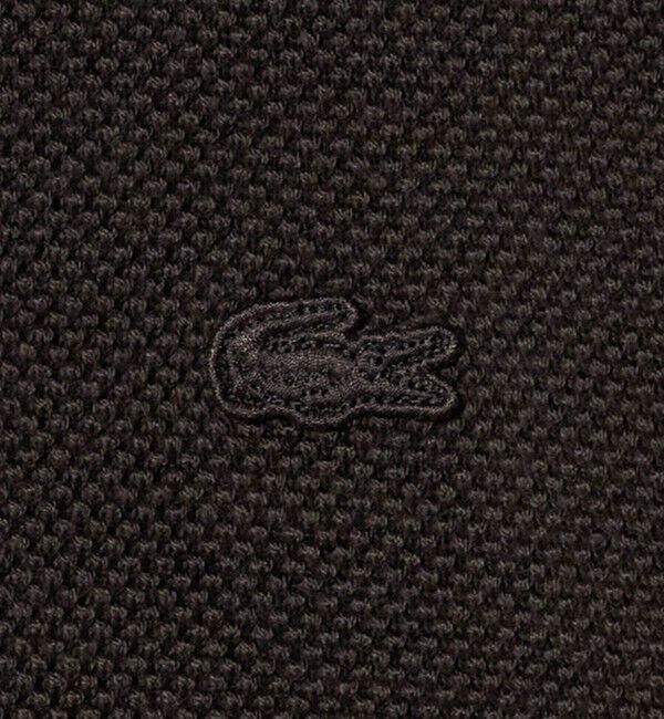 BEAUTY&YOUTH UNITED ARROWS「＜LACOSTE for BEAUTY&YOUTH＞クルーネック スウェット」|ニット・セーター|