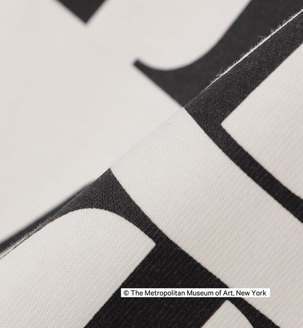 SHIPS Colors 「SHIPS Colors:THE MET コラボ プリントTシャツ」|Tシャツ・カットソー|