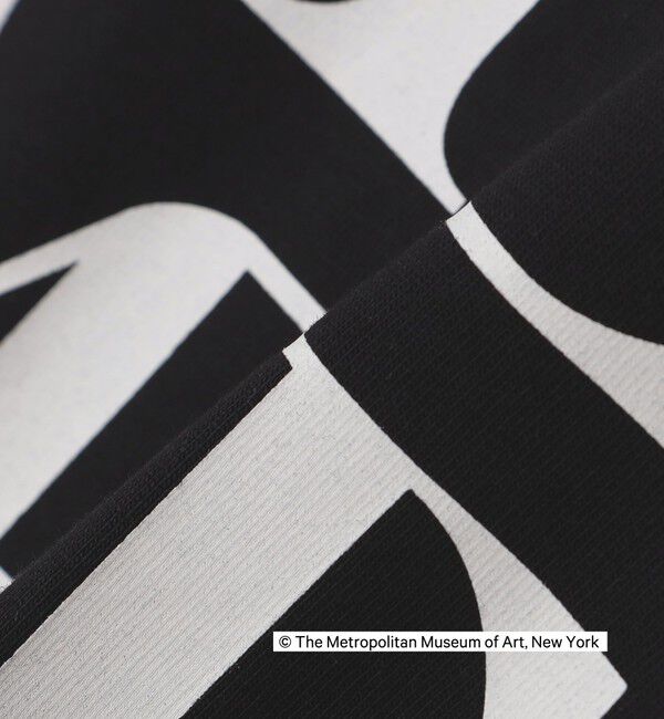 SHIPS Colors 「SHIPS Colors:THE MET コラボ プリントTシャツ」|Tシャツ・カットソー|