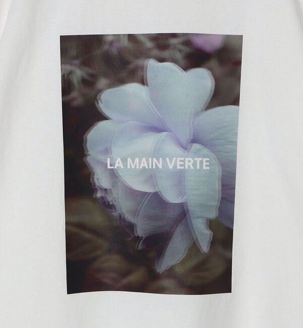 SHIPS Colors 「SHIPS Colors:フォト プリント Tシャツ」|Tシャツ・カットソー|