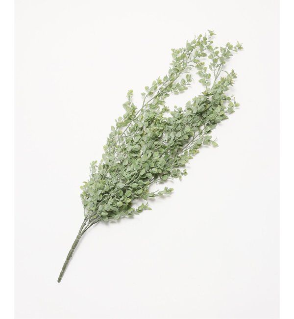 journal standard Furniture「【Brown./ブラウン】イエローランタナ ハンギングブッシュ　フェイクグリーン」|その他|