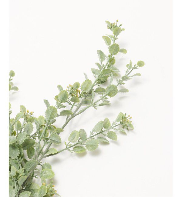 journal standard Furniture「【Brown./ブラウン】イエローランタナ ハンギングブッシュ　フェイクグリーン」|その他|