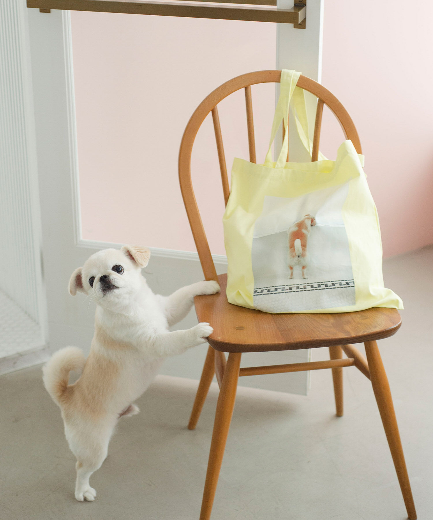 ROPE PICNIC PASSAGE「【WEB限定】おもちくん&times;ROPE' PICNIC/Photoプリントトートバッグ」|トートバッグ|