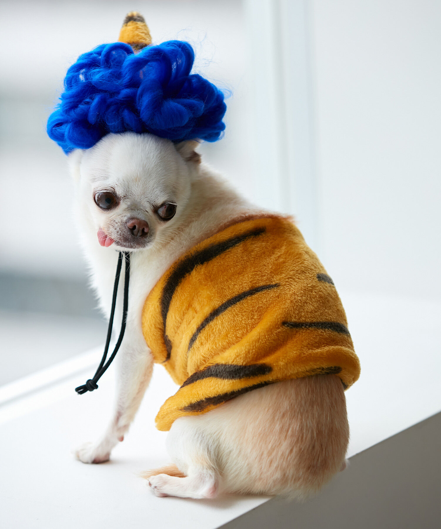 ROPE PICNIC PASSAGE「【DOG】小鬼コスチューム 節分」|その他|