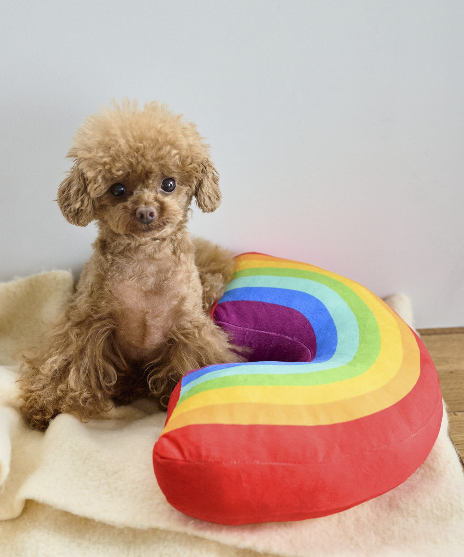 ROPE PICNIC PASSAGE「【DOG】レインボークッション」|その他|