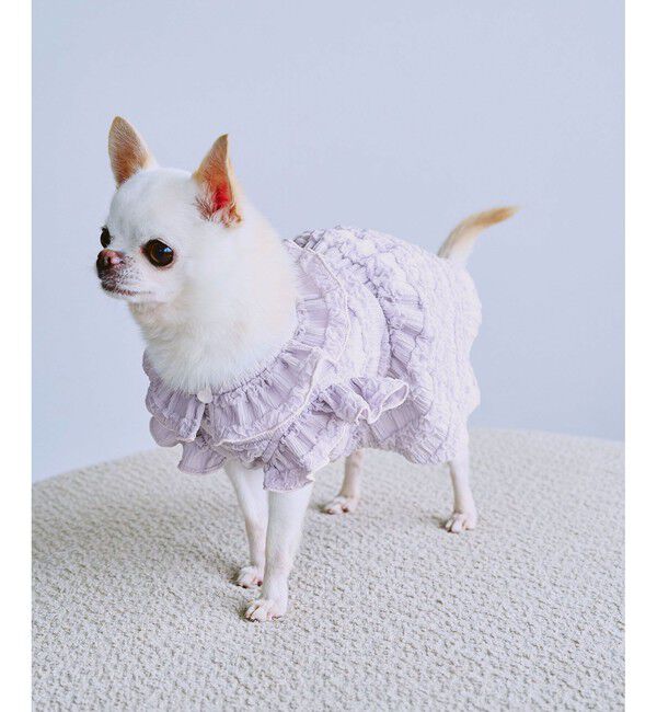 ROPE PICNIC PASSAGE「【DOG】フリルワンピース」|その他|ラベンダー