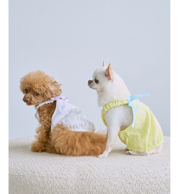 ROPE PICNIC PASSAGE「【DOG】【接触冷感】リボン付きキャミワンピース」|その他|