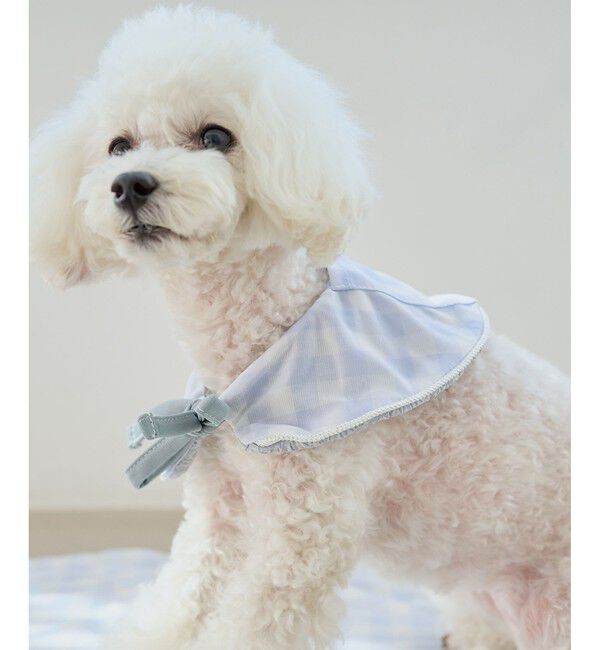 ROPE PICNIC PASSAGE「【DOG】ひんやりスタイ」|その他|サックス(48)