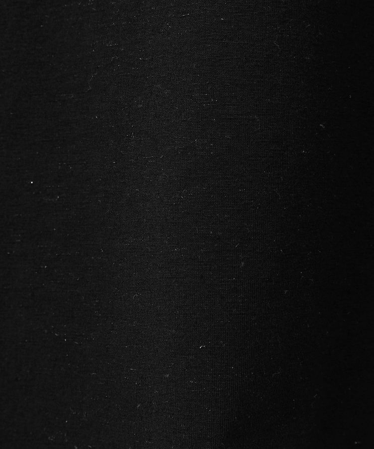 earth music&ecology「アンジェリーナラメプルオーバー」|Tシャツ・カットソー|