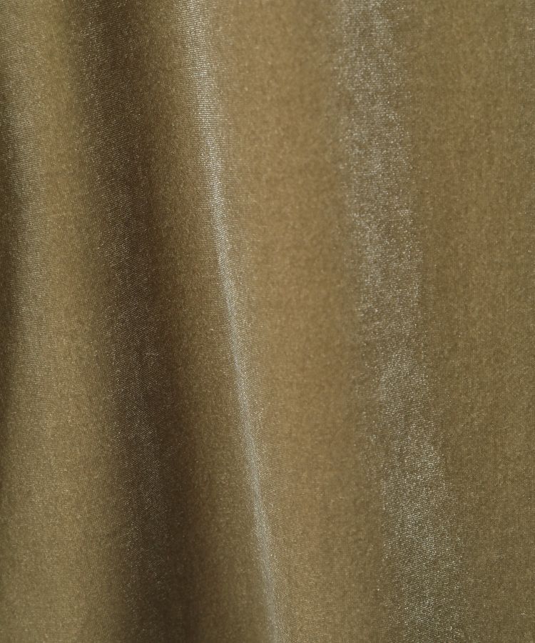 AMERICAN HOLIC「ベロアTシャツ」|Tシャツ・カットソー|