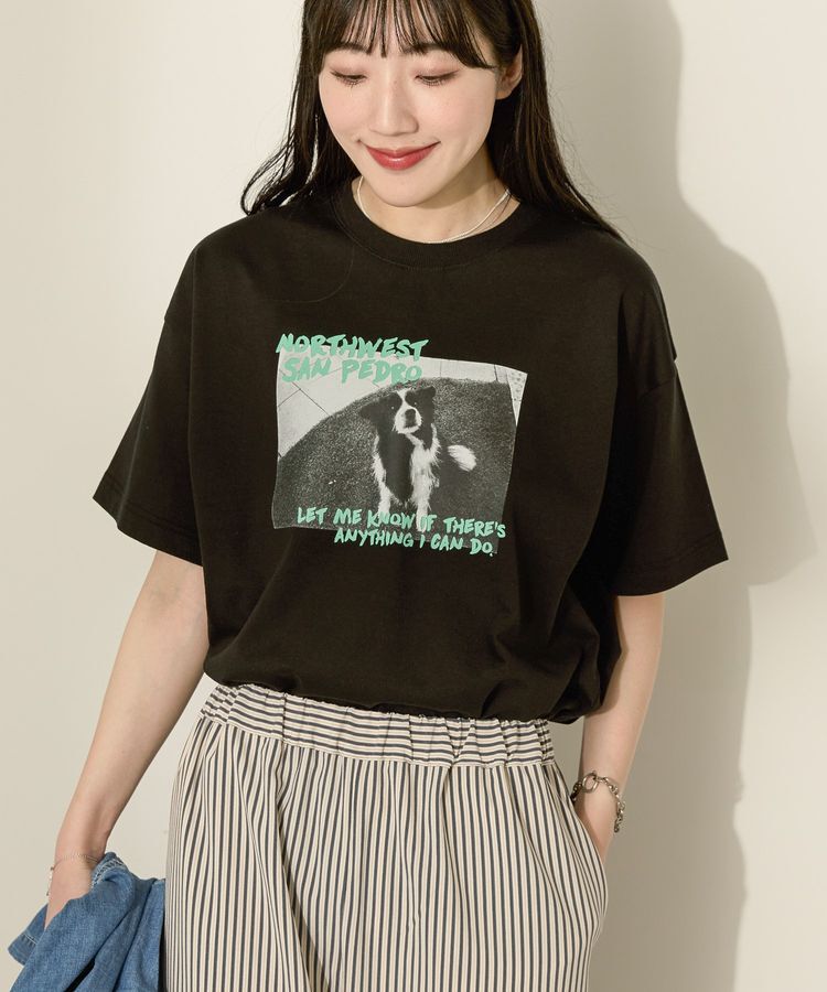 AMERICAN HOLIC「DogフォトプリントTシャツ」|Tシャツ・カットソー|