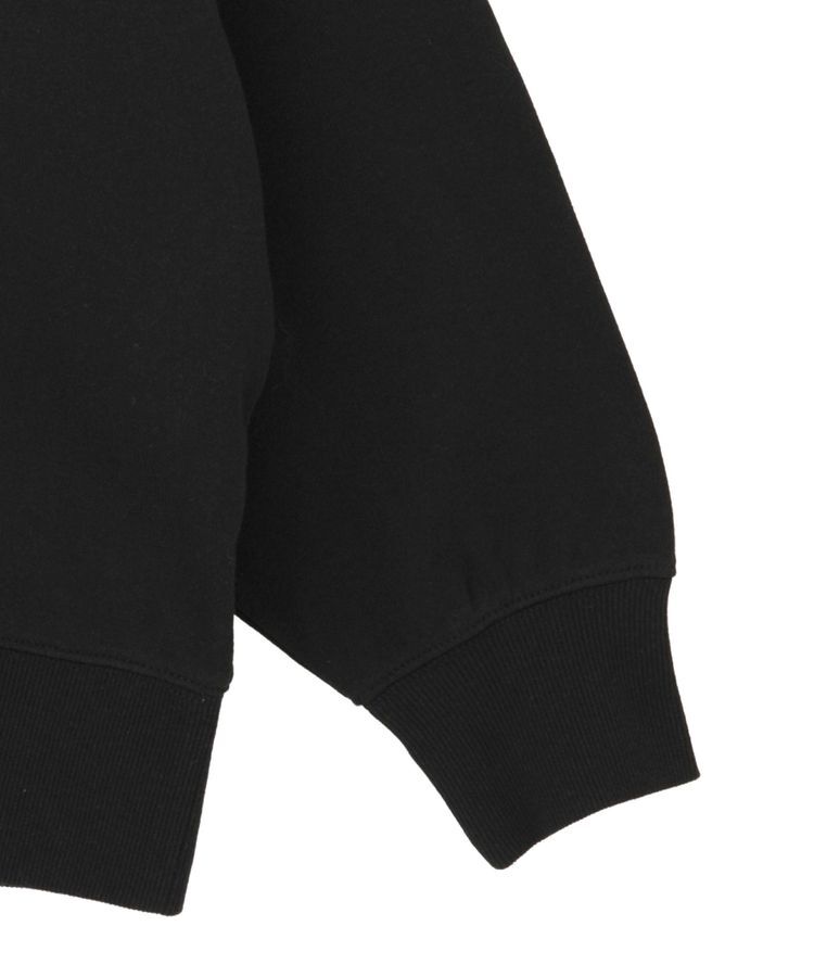 AMERICAN HOLIC「ハンドストロークフォト裏毛プルオーバー」|スウェット・ジャージ|