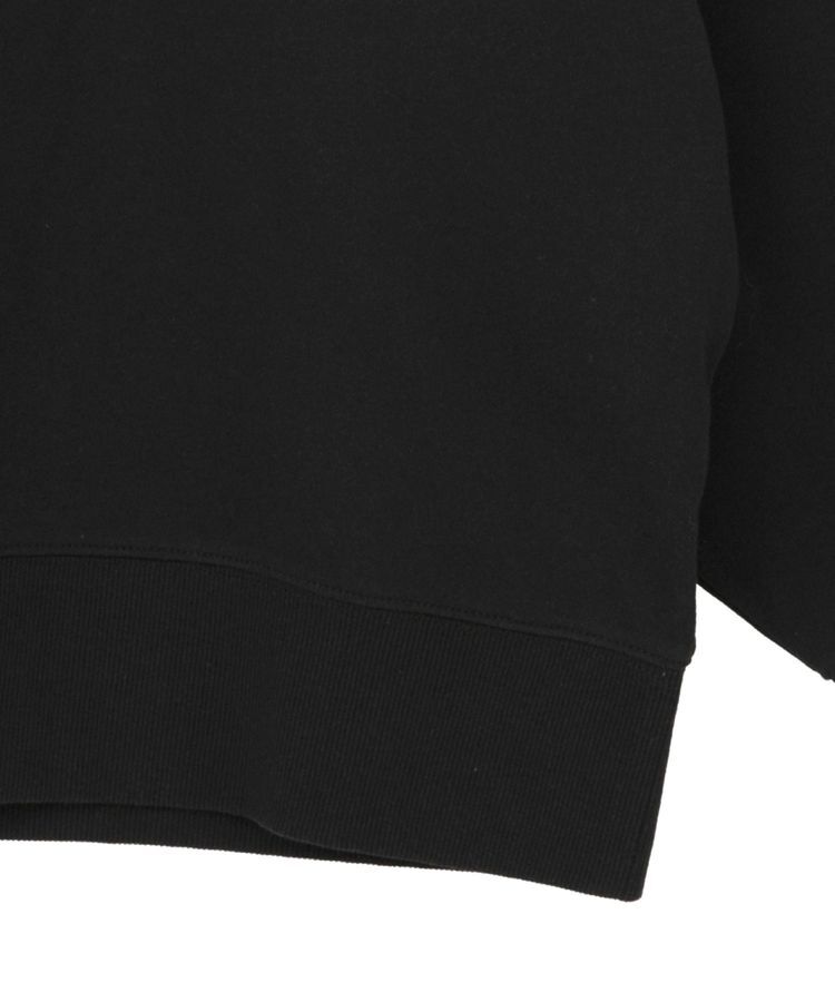 AMERICAN HOLIC「ハンドストロークフォト裏毛プルオーバー」|スウェット・ジャージ|