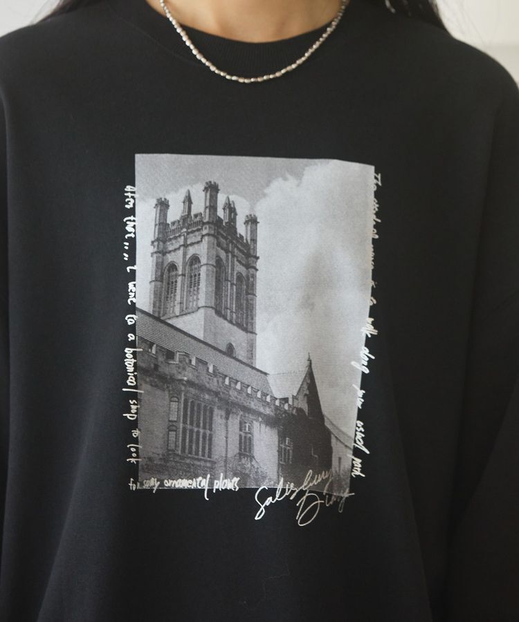 AMERICAN HOLIC「ハンドストロークフォト裏毛プルオーバー」|スウェット・ジャージ|