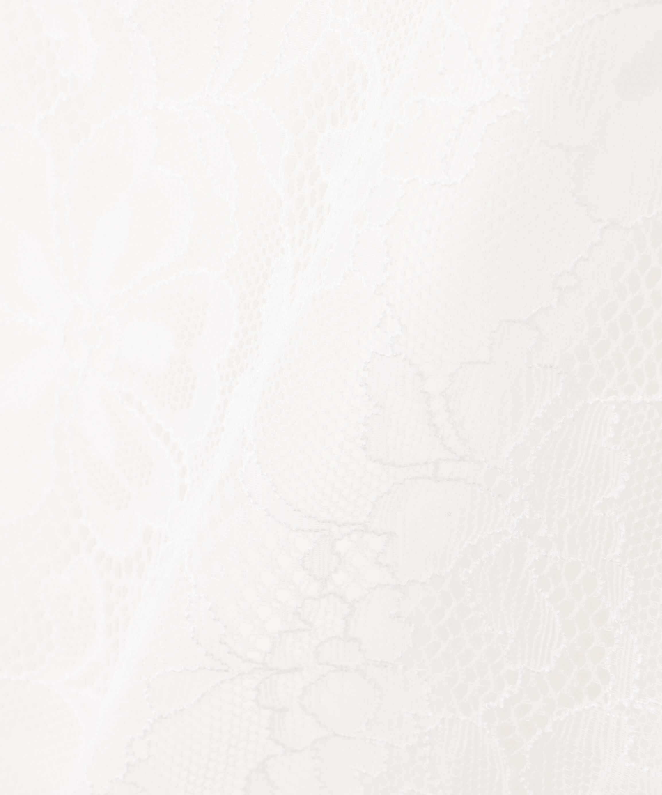 PROPORTION BODY DRESSING「レースプルオーバー」|Tシャツ・カットソー|