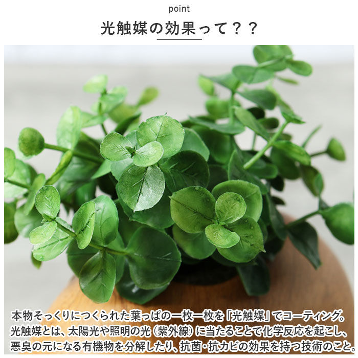 BACKYARD FAMILY「光触媒 フェイクグリーン 通販 イミテーション 消臭 抗菌 造花 陶器 木目調 アニマル」|その他|
