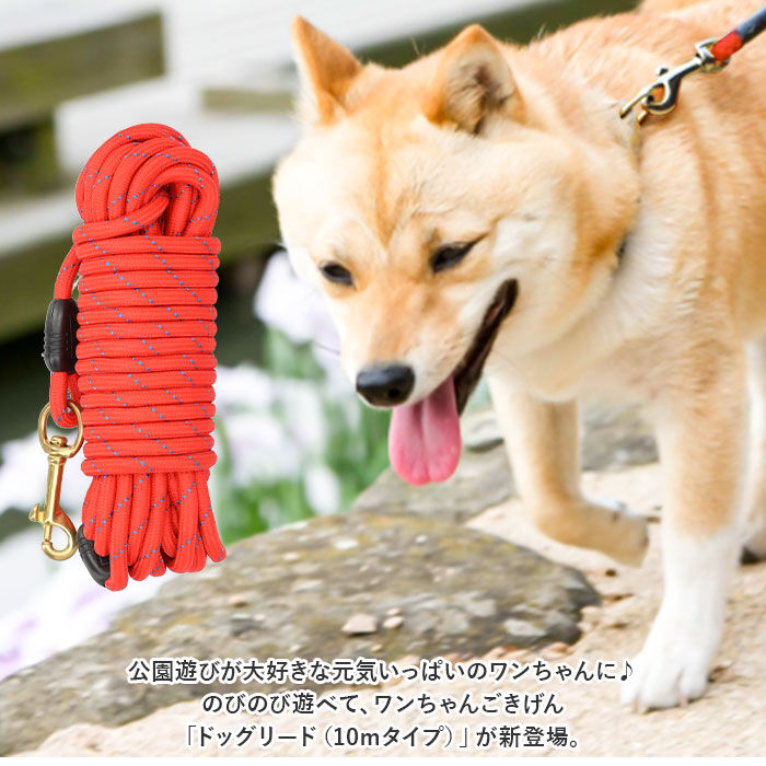 BACKYARD FAMILY「犬 リード おしゃれ 10m 通販 ドックリード 犬用リード 丸ロープ 丸形 中型犬 小型犬 いぬ」|その他|