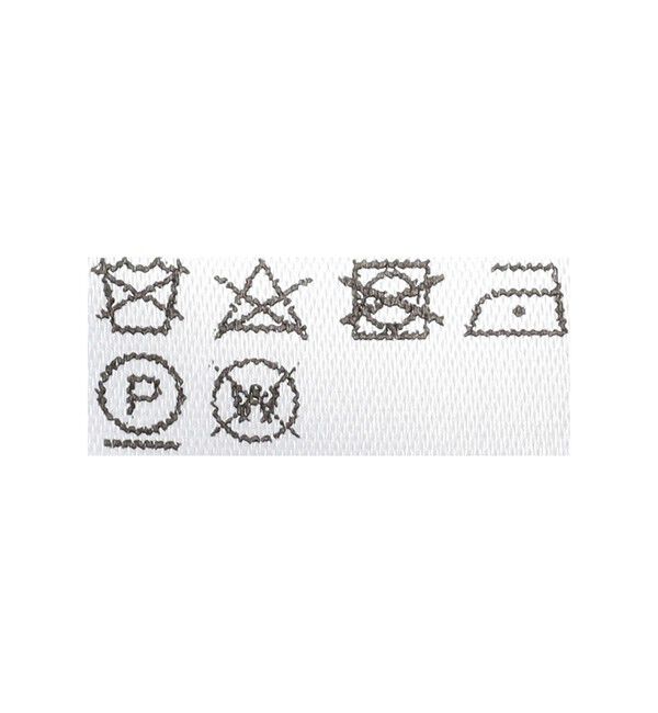 Ray BEAMS 「GHOSPELL / Tali Stripe Shirt」|シャツ・ブラウス|