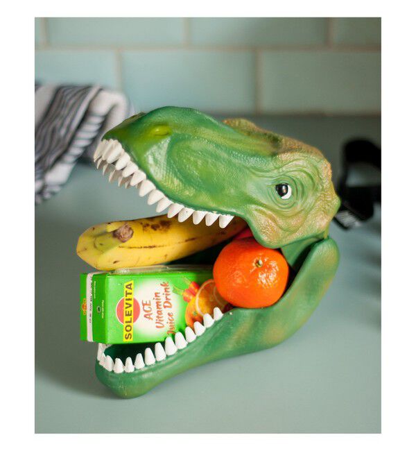 BEAMS「SUCK UK / Dinosaur Case」|その他|-