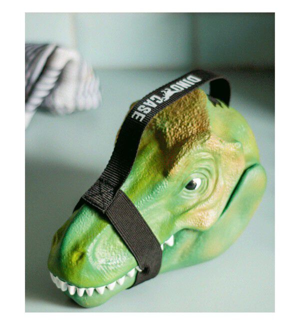 BEAMS「SUCK UK / Dinosaur Case」|その他|