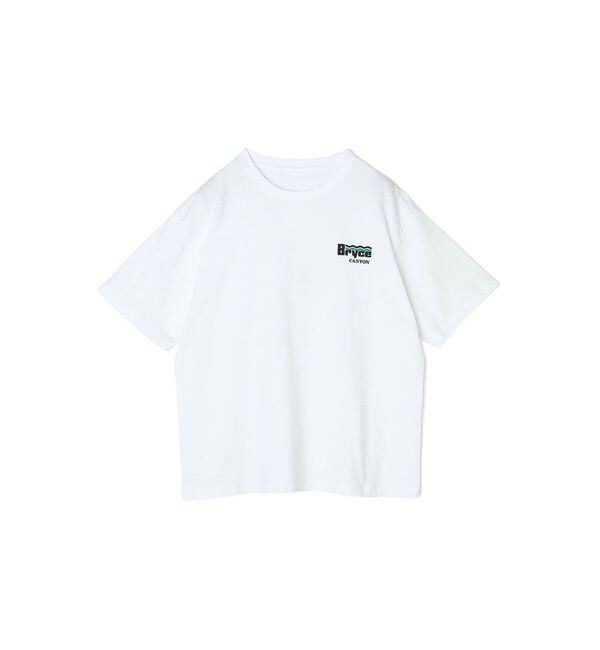 SHIPS any「【WEB限定】SHIPS any: NATIONAL PARK ヴィンテージライク ワンポイント プリント Tシャツ◇」|Tシャツ・カットソー|