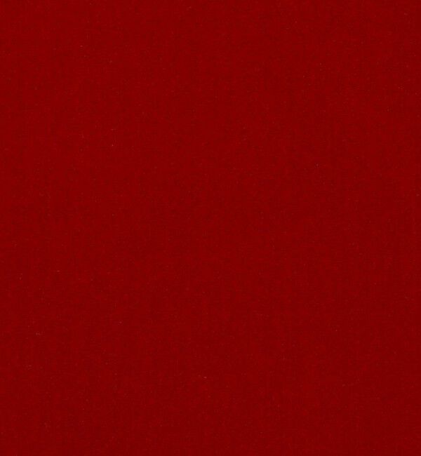 TOMORROWLAND BUYING WEAR「Simone Wild T-Shirt」|Tシャツ・カットソー|