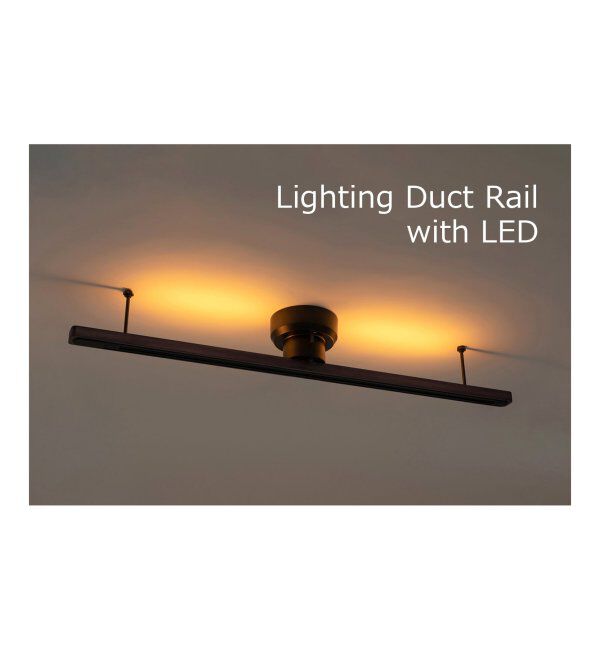 journal standard Furniture「Lighting Duct Rail with LED ライティングダクトレール」|その他|ブラック